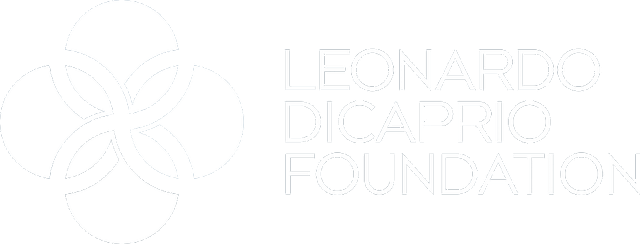 Leonardo DiCaprio Foundation